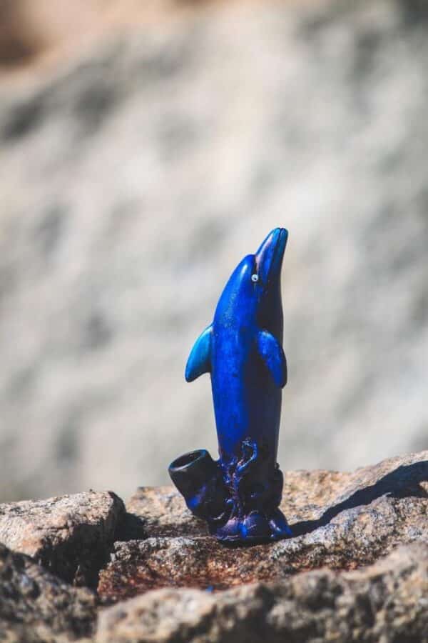 Dolphin Medium Pipe - Image 3