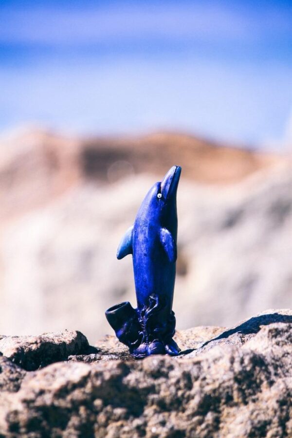 Dolphin Medium Pipe - Image 2