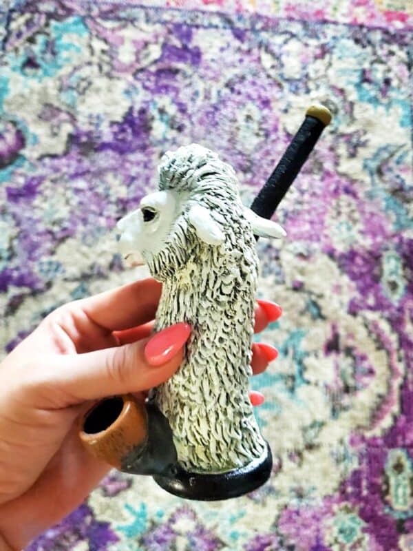 Drama Llama Medium Pipe - Image 6