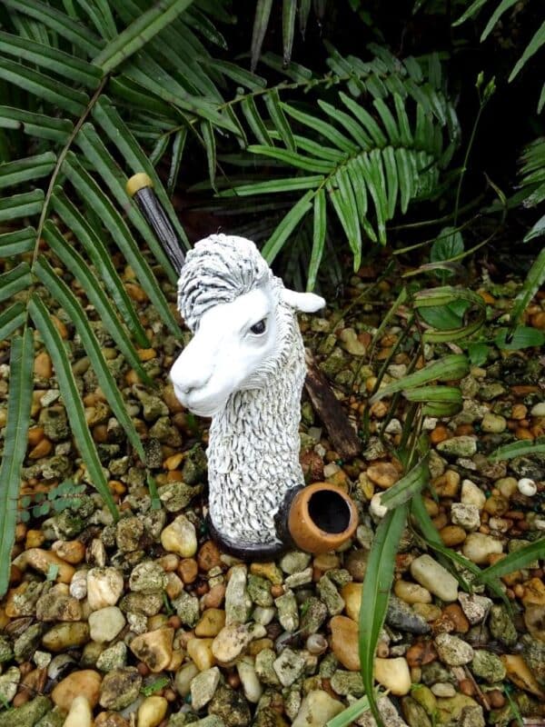 Drama Llama Medium Pipe - Image 3